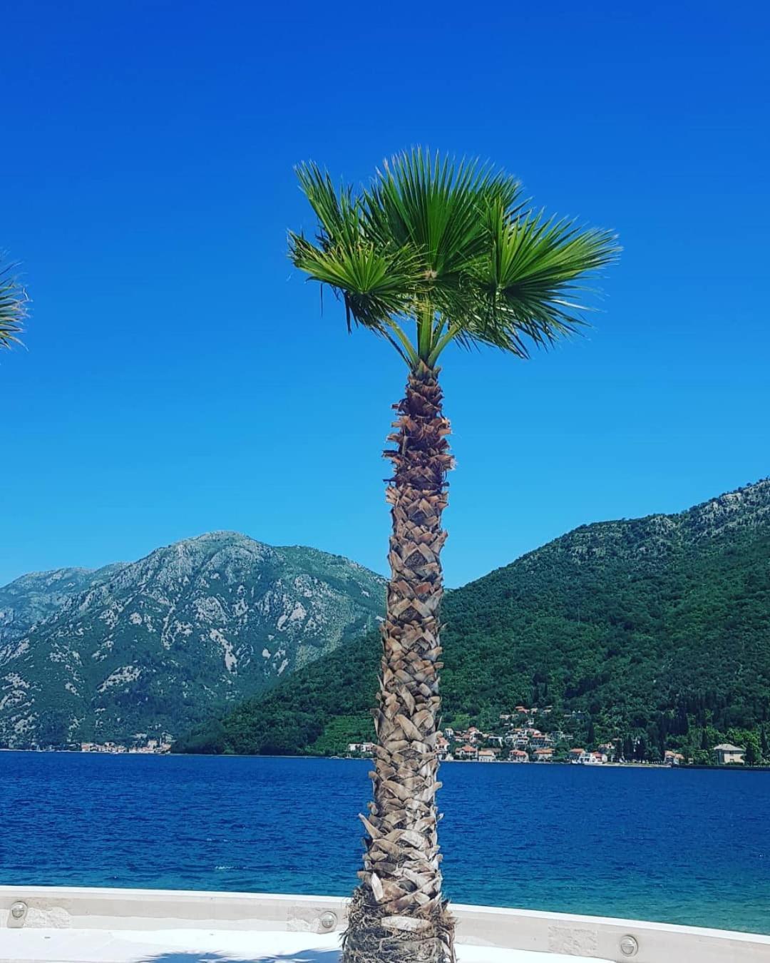 Apartman Taraca Villa Knezevic Herceg Novi Værelse billede